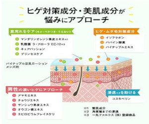 > �p�C�i�b�v���������[�V���� �����Y�p�ɂ���