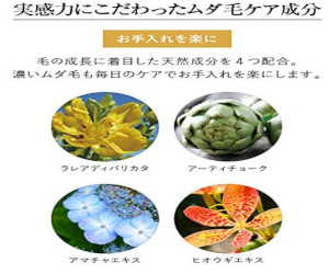> �p�C�i�b�v���������[�V���� �����Y�p�ɂ���
